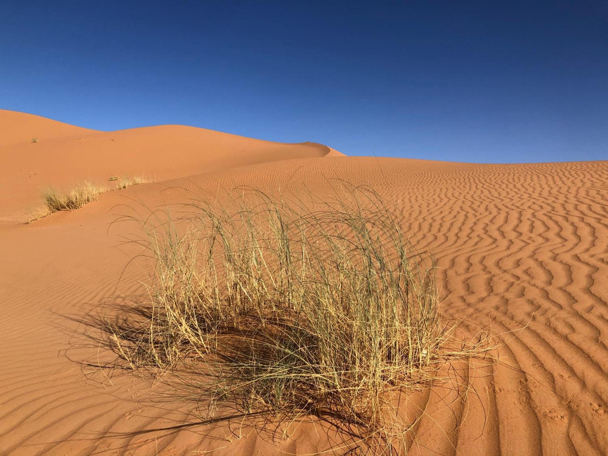 Отель Bivouac Le Petit Prince Мерзуга Экстерьер фото